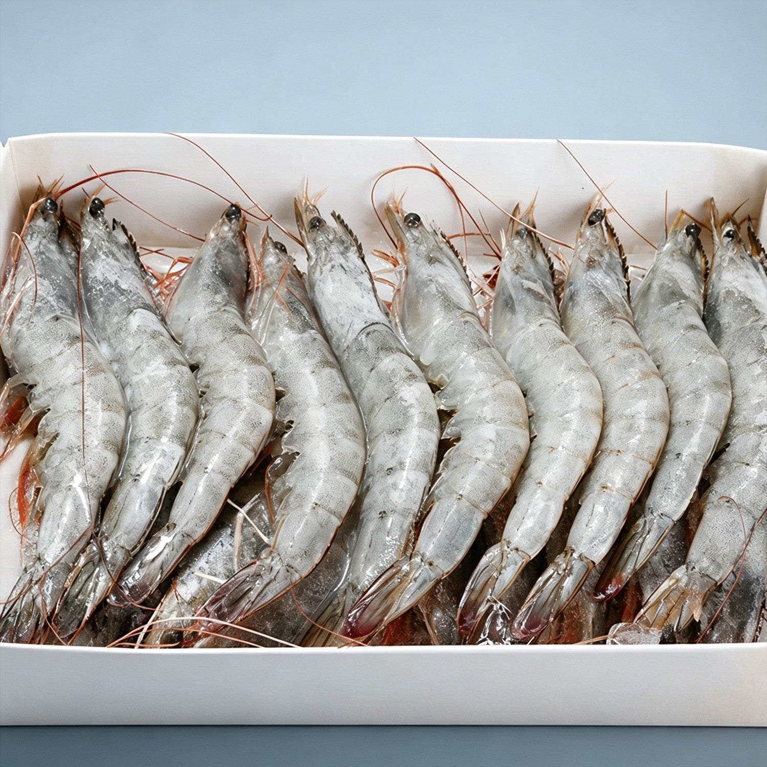 Premium Seafood Selection 5